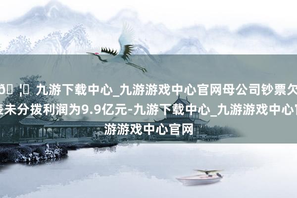 🦄九游下载中心_九游游戏中心官网母公司钞票欠债表未分拨利润为9.9亿元-九游下载中心_九游游戏中心官网